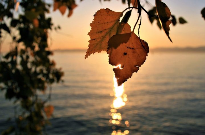 warmia i mazury miejsce na dzialke