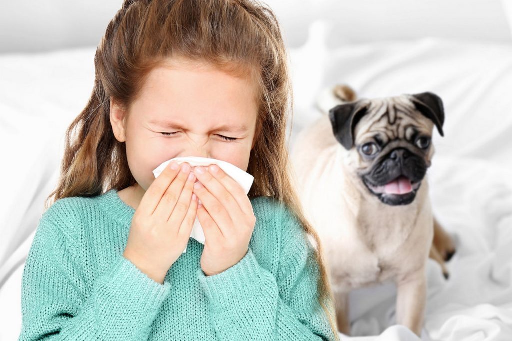 alergia dziecko